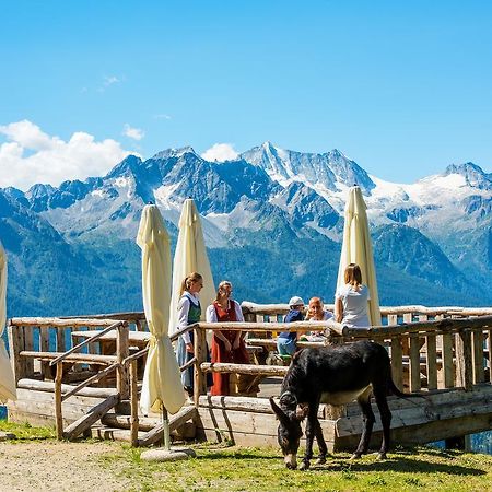 Nestalp Malga Campo Villa Peio Bagian luar foto