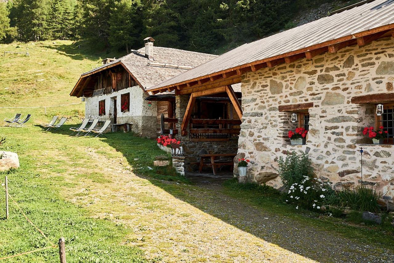 Nestalp Malga Campo Villa Peio Bagian luar foto