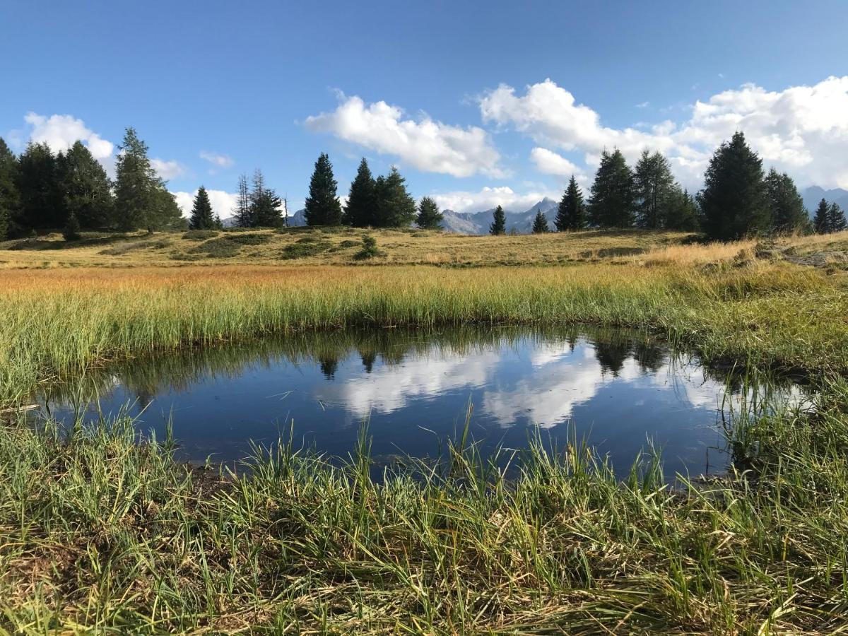 Nestalp Malga Campo Villa Peio Bagian luar foto