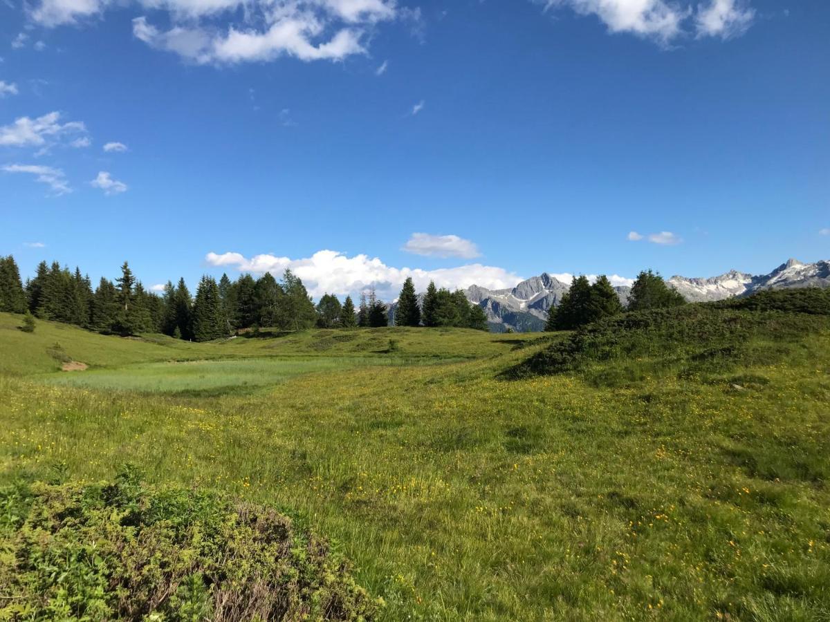 Nestalp Malga Campo Villa Peio Bagian luar foto