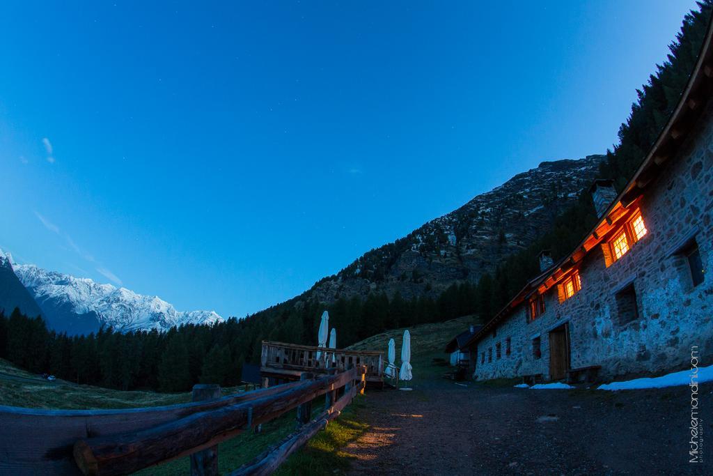 Nestalp Malga Campo Villa Peio Bagian luar foto