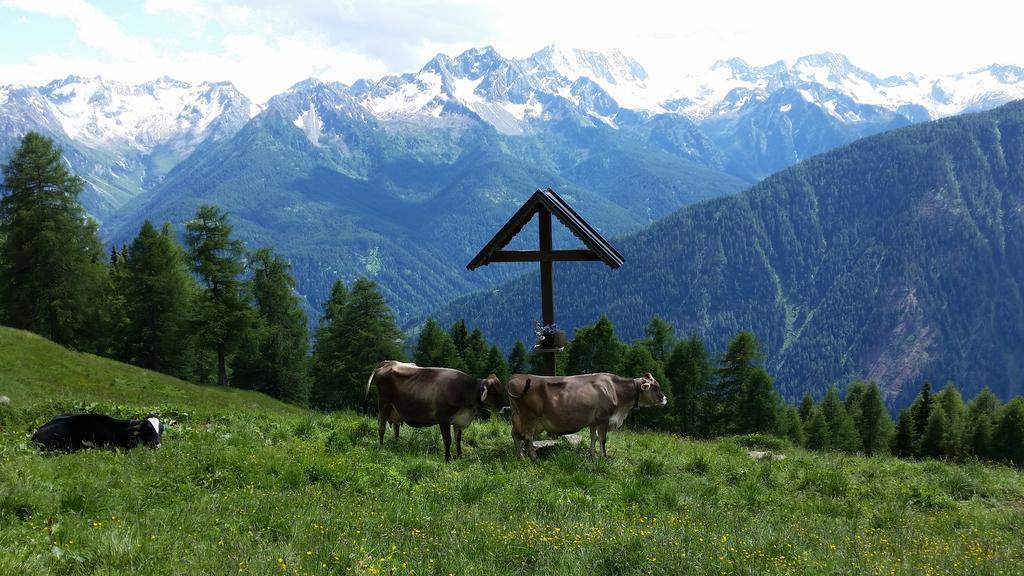 Nestalp Malga Campo Villa Peio Bagian luar foto