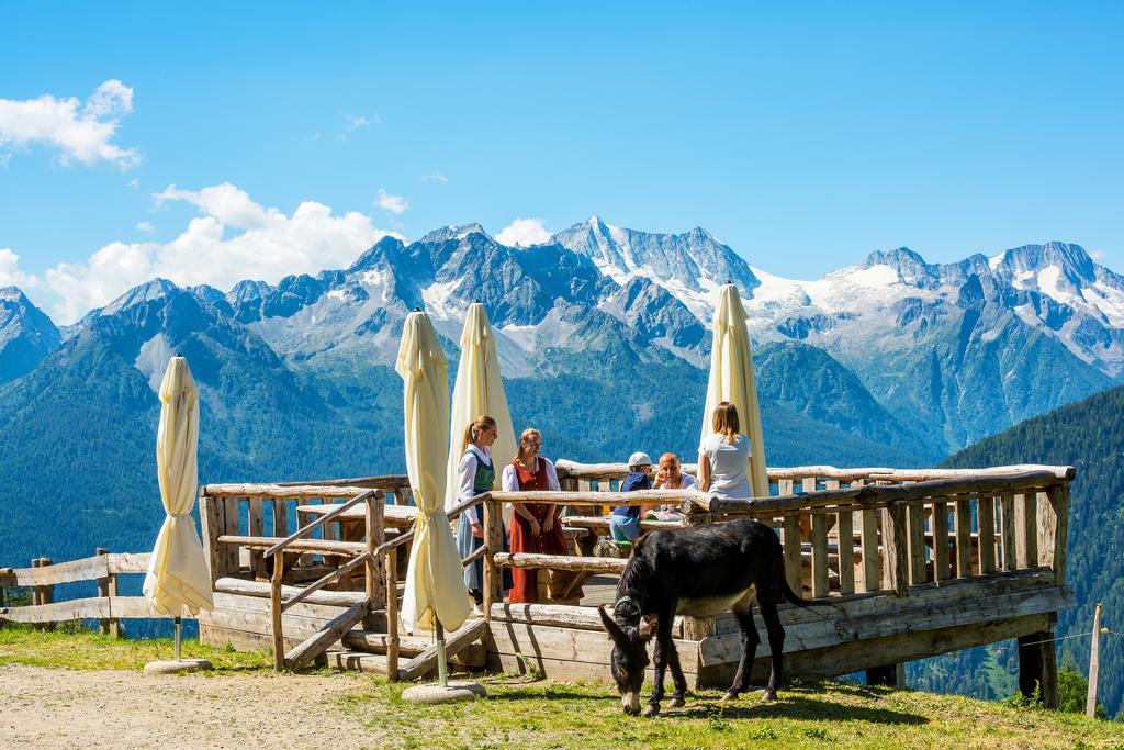 Nestalp Malga Campo Villa Peio Bagian luar foto