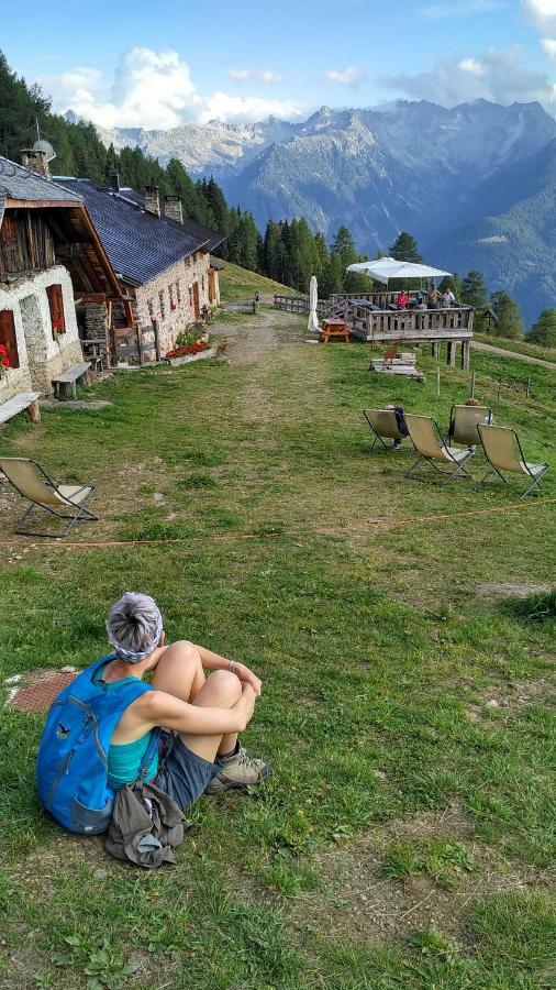 Nestalp Malga Campo Villa Peio Bagian luar foto