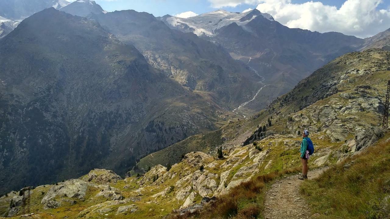 Nestalp Malga Campo Villa Peio Bagian luar foto