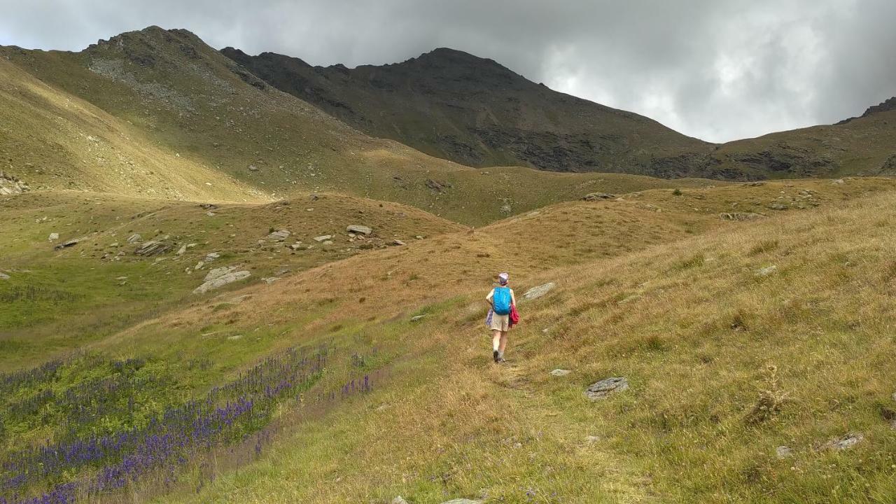 Nestalp Malga Campo Villa Peio Bagian luar foto