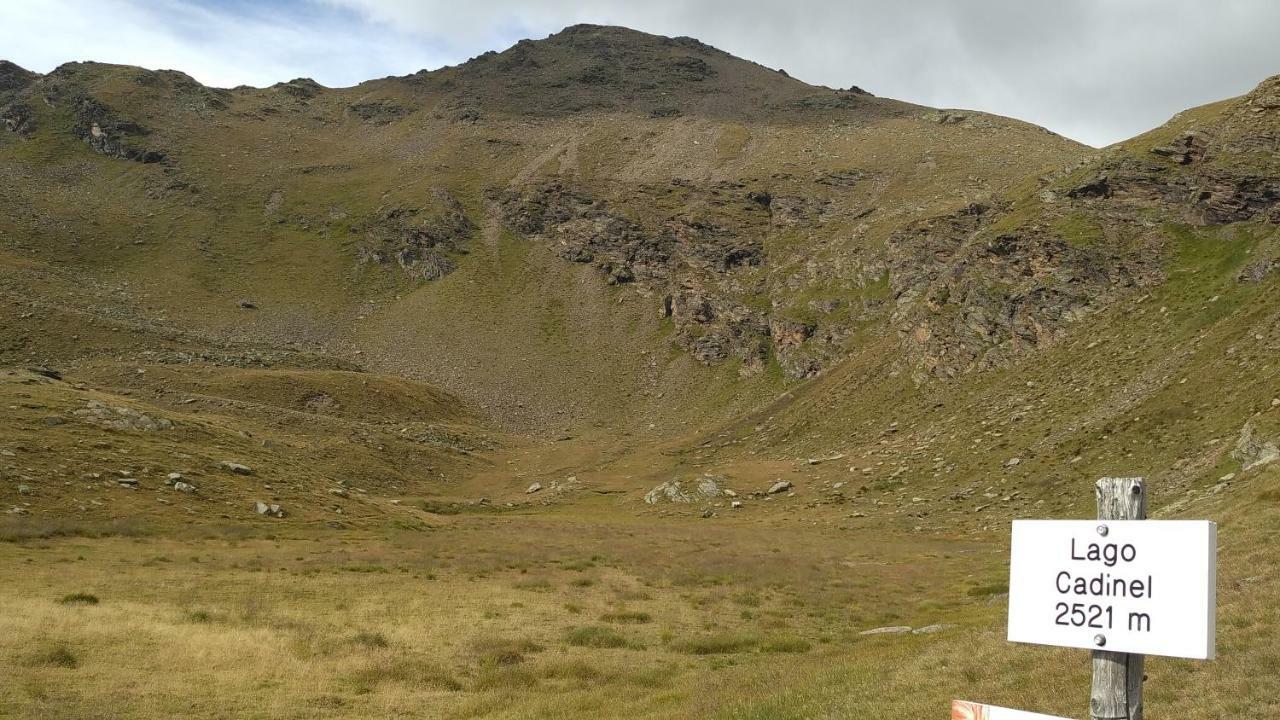 Nestalp Malga Campo Villa Peio Bagian luar foto